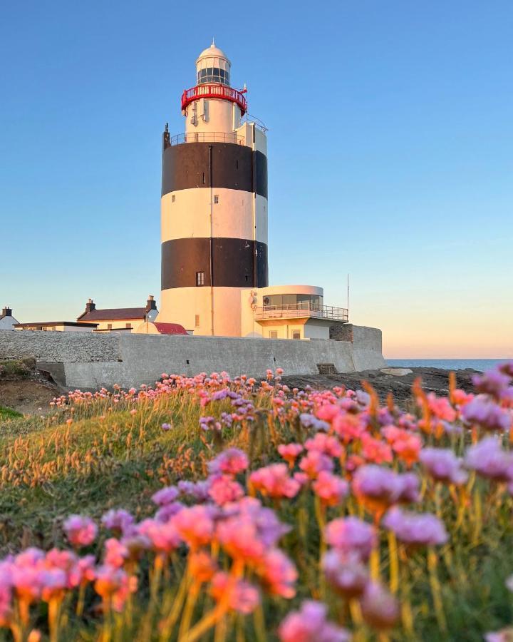 Thistledown Lodge Fethard on Sea Kültér fotó