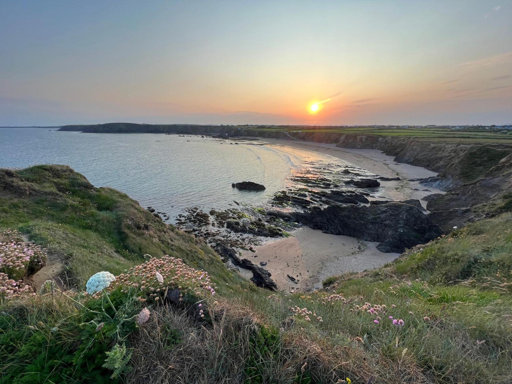 Thistledown Lodge Fethard on Sea Kültér fotó