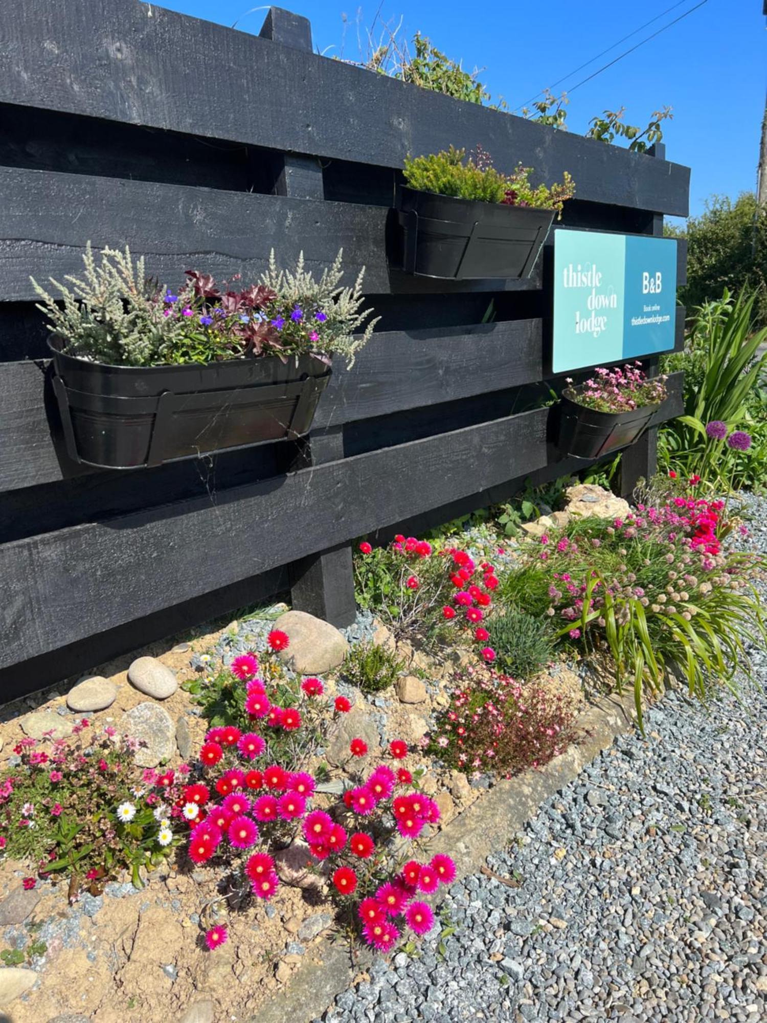 Thistledown Lodge Fethard on Sea Kültér fotó