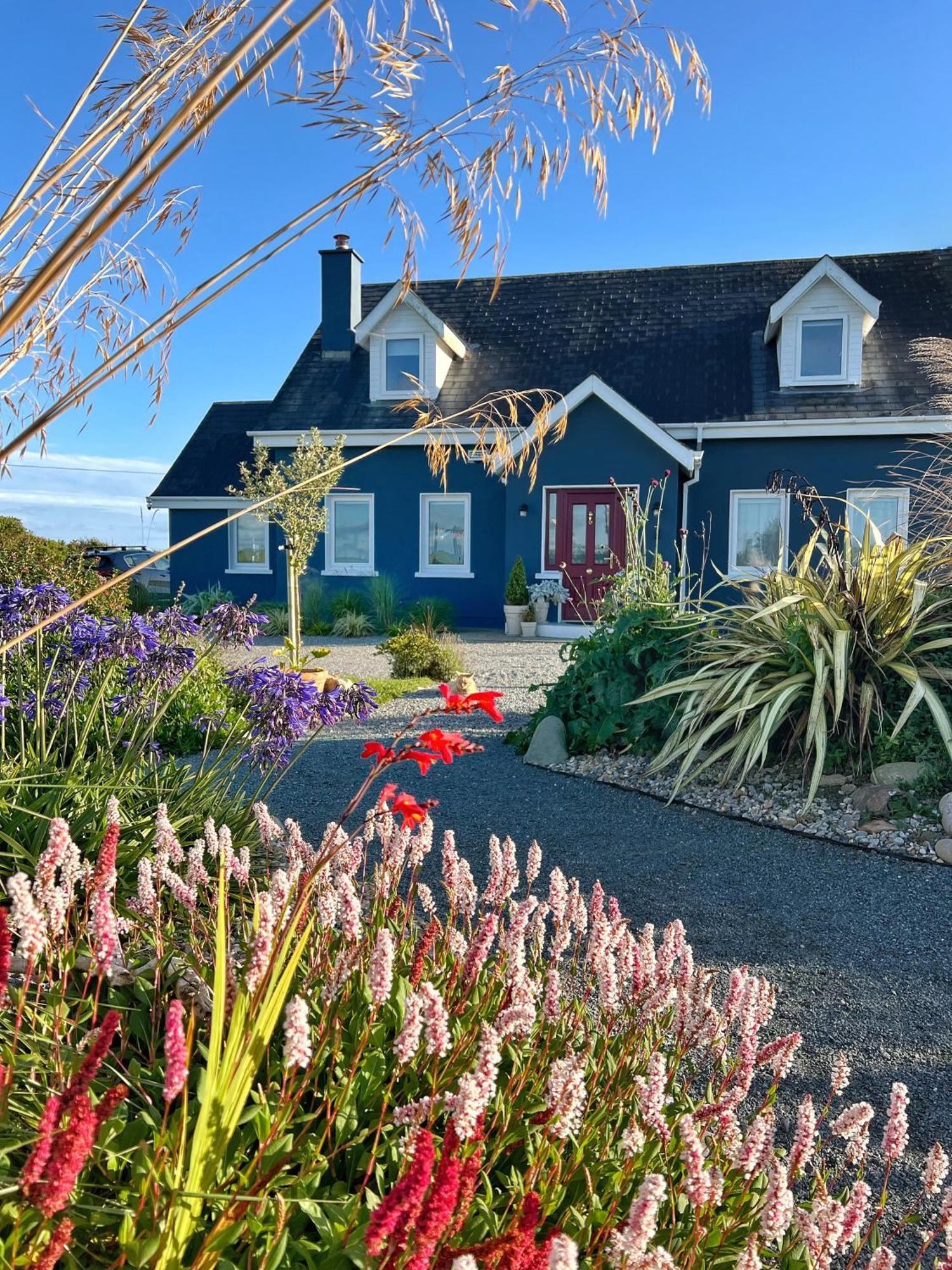 Thistledown Lodge Fethard on Sea Kültér fotó